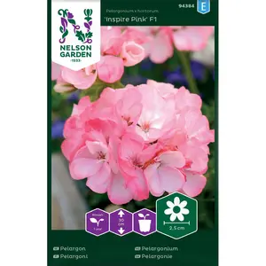 Pelargon, Inspire Pink F1