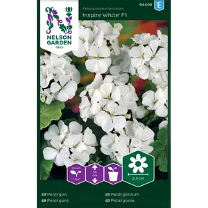 Pelargon, Inspire White F1