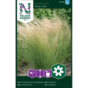Prydnadsgräs, Pony Tails