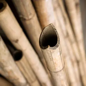 Bambukäpp 105cm 8/10, 500-pack