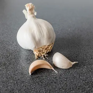 Sättvitlök Clédor