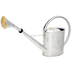 Vattenkanna oval 8L, Zink