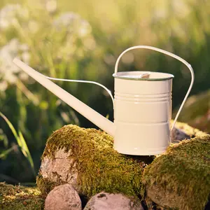 Vattenkanna 1,5 liter, Cream/grön