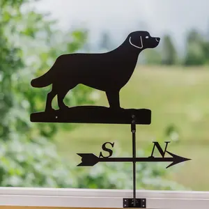 Vindflöjel, Golden retriever