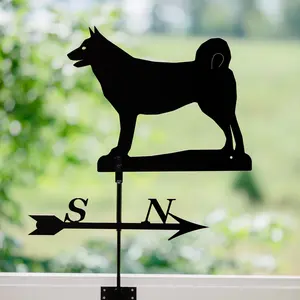 Vindflöjel, Gråhund