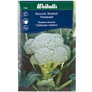 Broccoli, Calabrese natalino