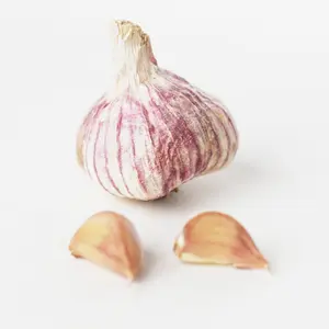 Sättvitlök Germidour Ekologisk