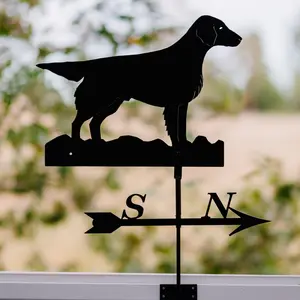 Vindflöjel, Flat coated retriver