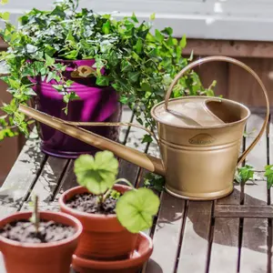 Vattenkanna 1,5 liter, Guld