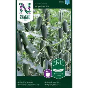 Ampelgurka, Hopeline F1