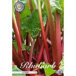 Rabarb, Victoria 1 st