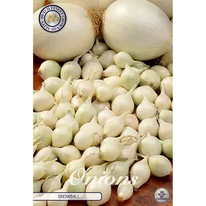Sättlök, Silverlök Snowball 250 g