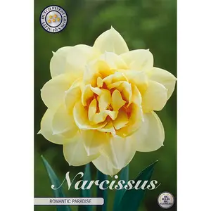 Dubbel Narciss, Romantic Paradise 5 st