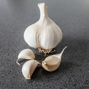 Sättvitlök Sabadrome