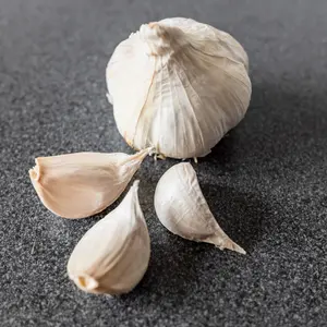 Sättvitlök Therador