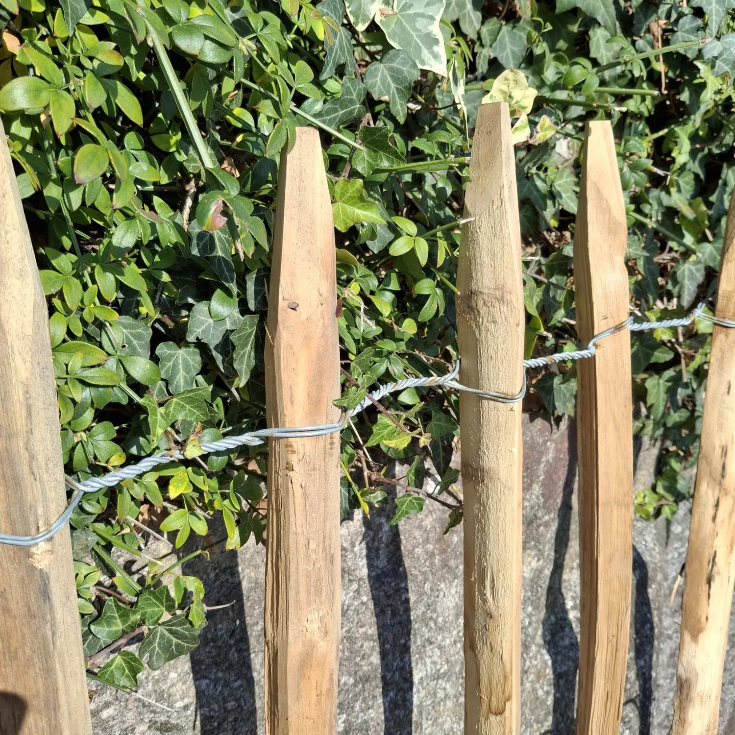 Kastanjestaket gles 0,5 x 10 meter