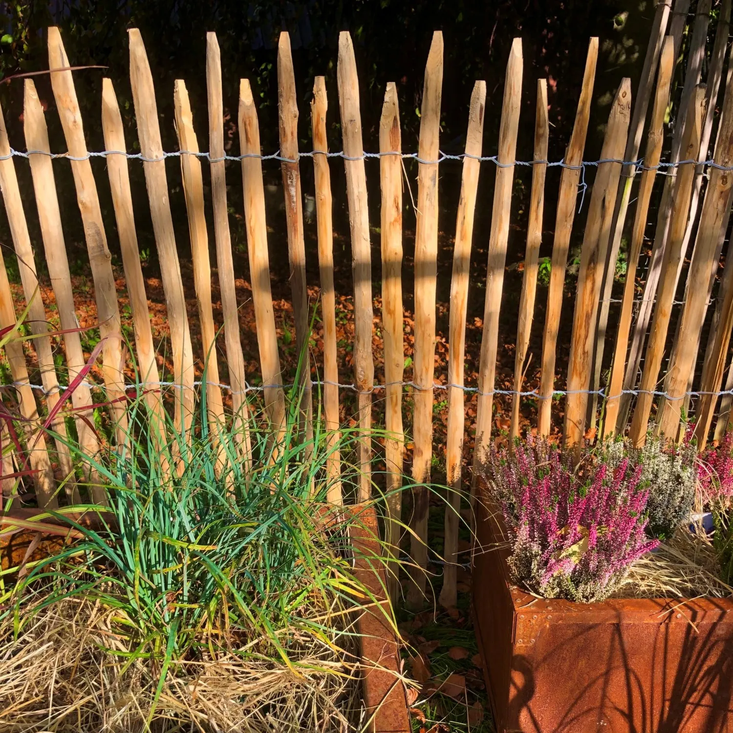 Kastanjestaket Scandinavia extratät 1,13-1,2 x 5 meter