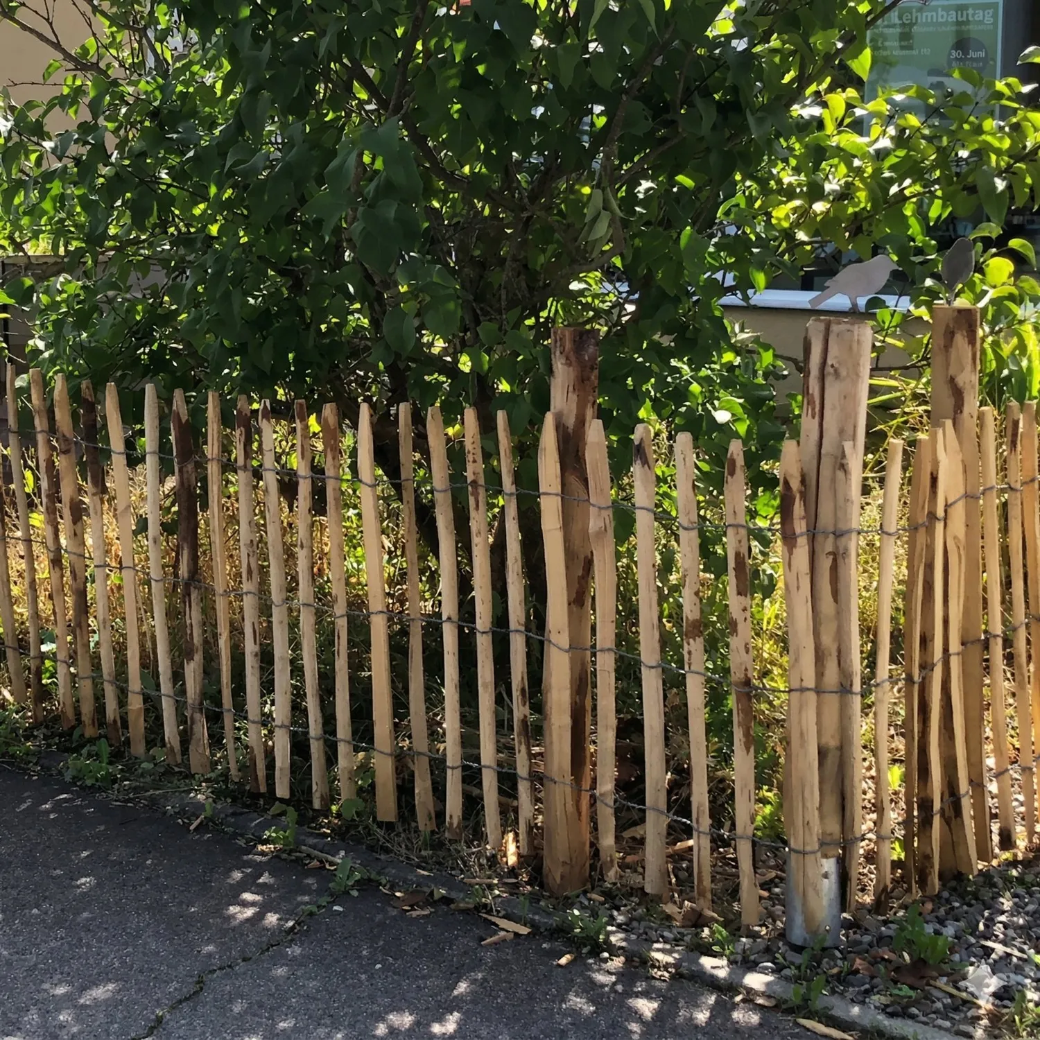 Kastanjestaket tät 1 x 10 meter