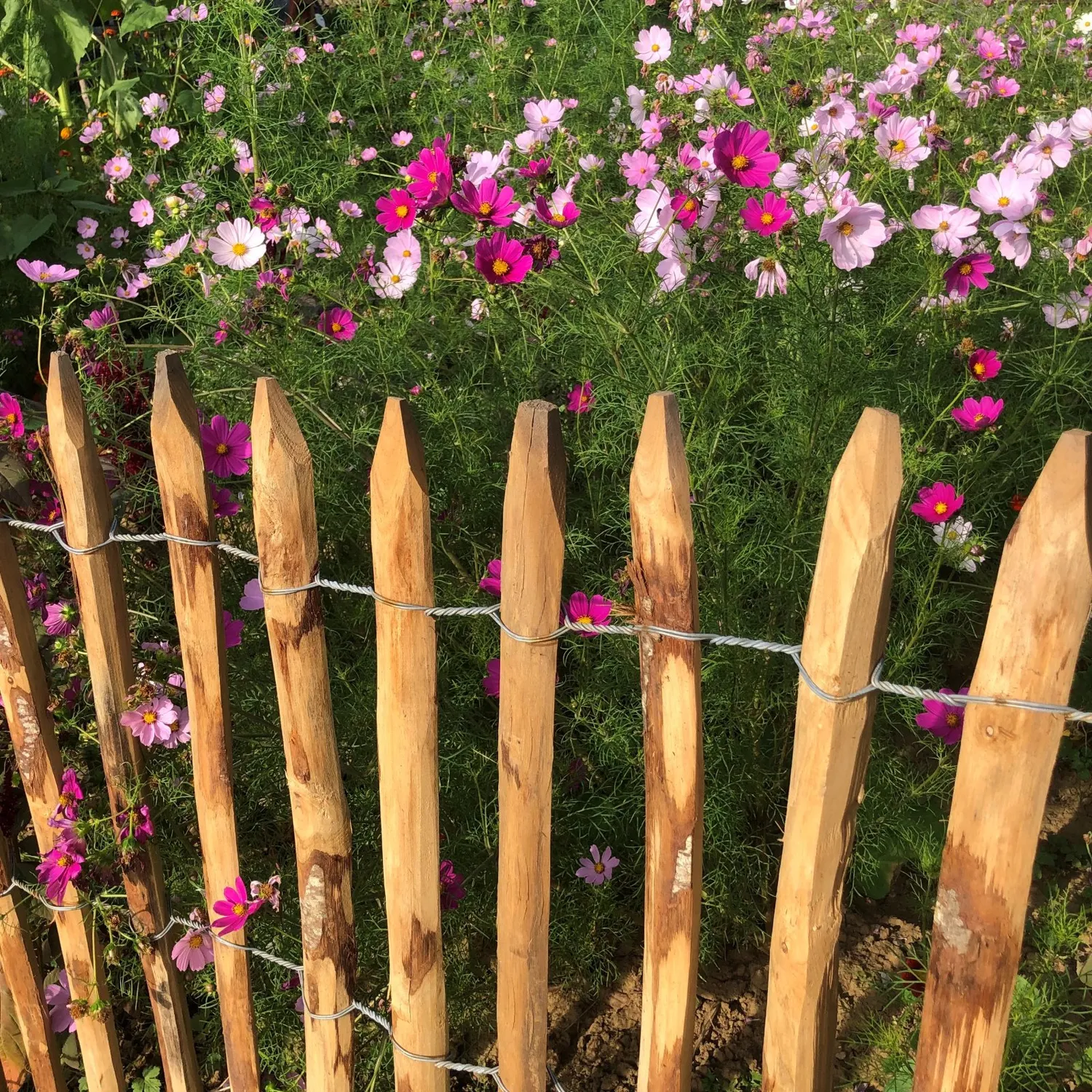 Kastanjestaket tät 1,2 x 10 meter