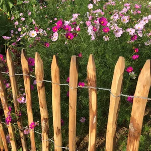 Kastanjestaket tät 1,2 x 10 meter