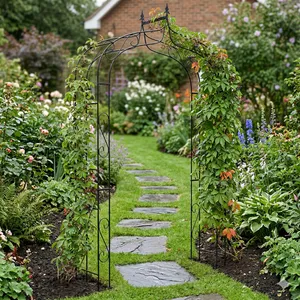 Växtstöd Rosenbåge 2,42 meter, svart