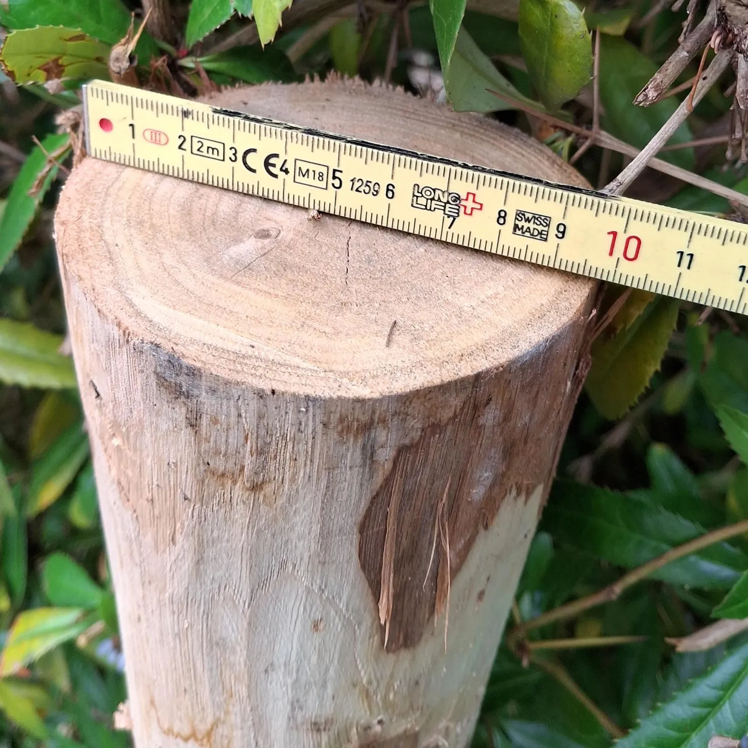 Kastanjestolpe 1,75 meter