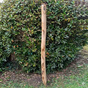 Kastanjestolpe 1,5 meter