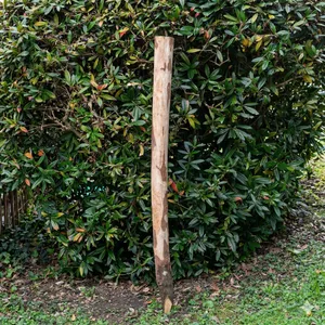 Kastanjestolpe 1,2 meter