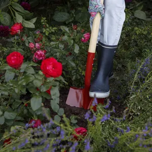 Rosjord / Perennjord 15 liter