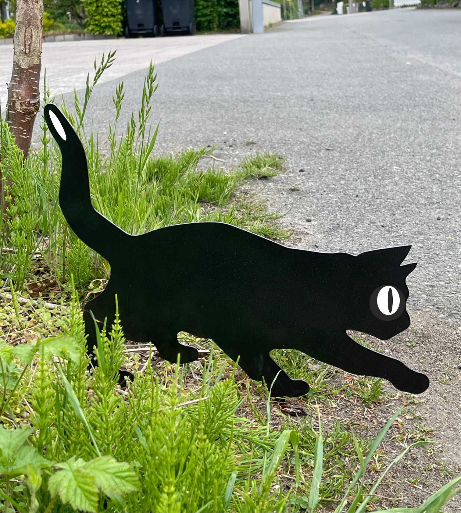 Reflex-Katt, Trädgårdskatt..