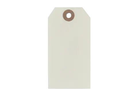 Etikett 51x100 mm hålförstärkt