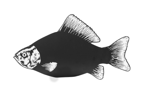 Griffelskylt fisk 40cm