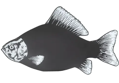 Griffelskylt fisk 60cm