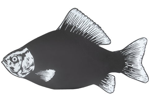 Griffelskylt fisk 60cm