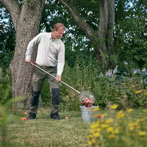 Vuxen man samlar upp äpplen och flyttar dessa till en hink