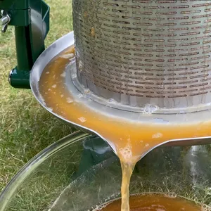 Frukt pressas till en must utomhus i en manuell skruvpress i rostfritt stål