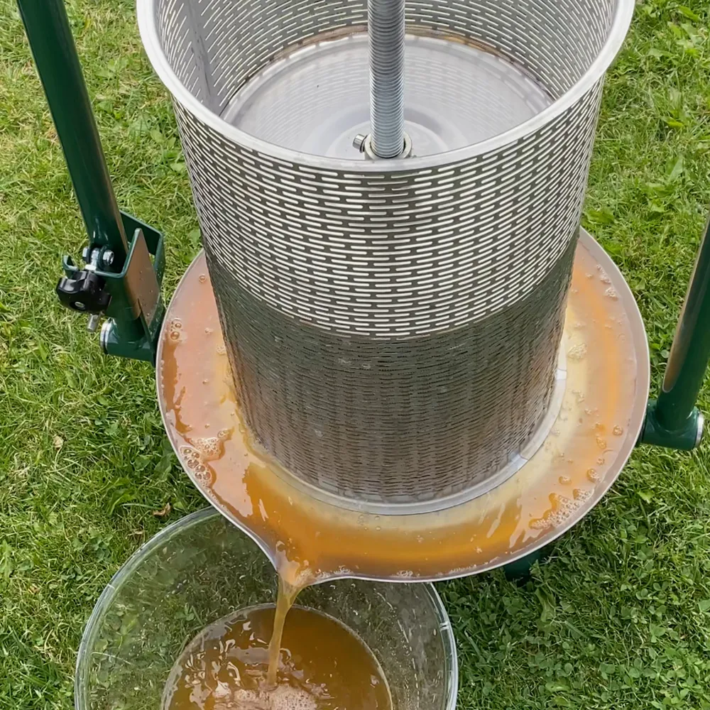 Frukt pressas till en must utomhus i en manuell skruvpress i rostfritt stål