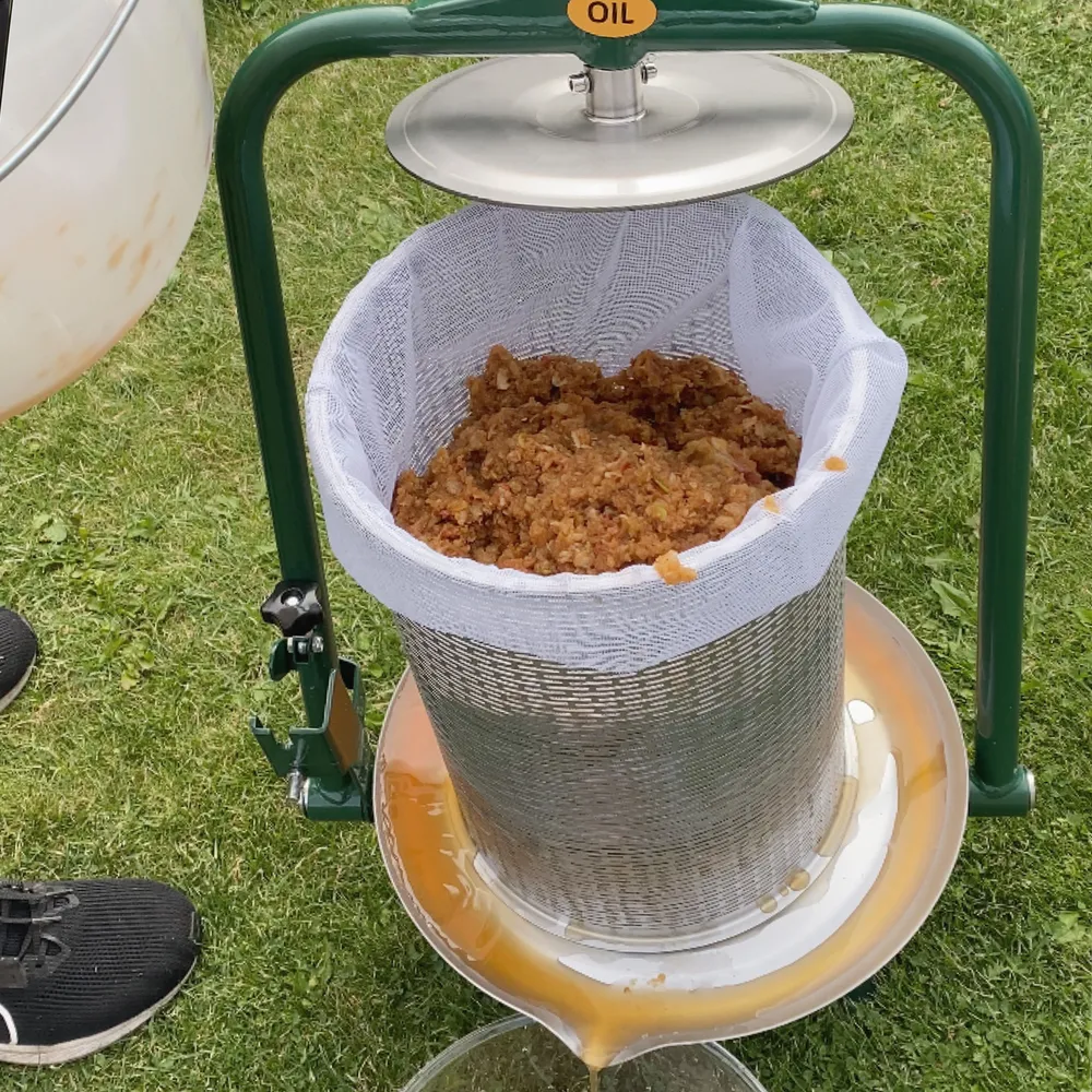 Krossad fruktmassa läggs i en öppen cylinderformad fruktpress i rostfritt stål med gröna detaljer