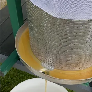 Färdig must rinner ner från den hydrauliska fruktpressen ner i en hink