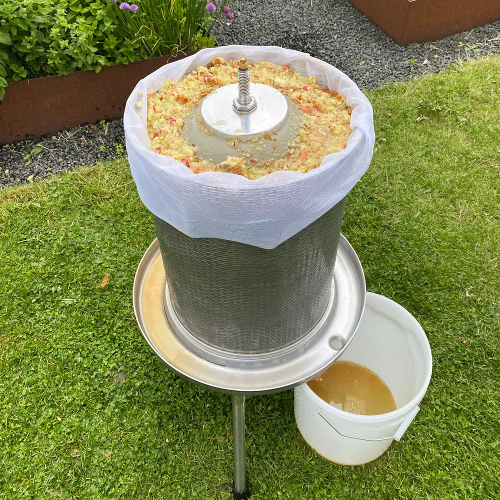 Hydropress fylld med äppelkross som snart ska pressas till must