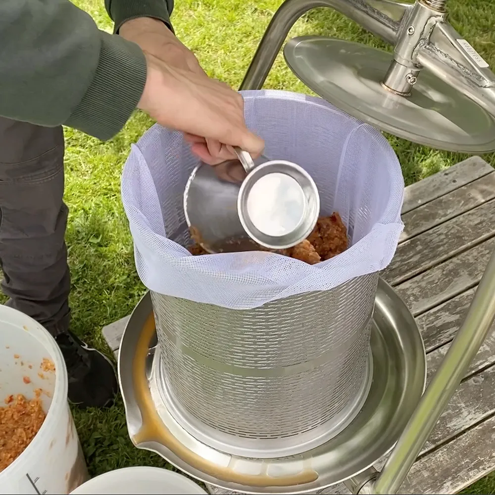 Fruktpresse INOX 14L fylt med ferskt epleknus, forberedelse til mostpressing