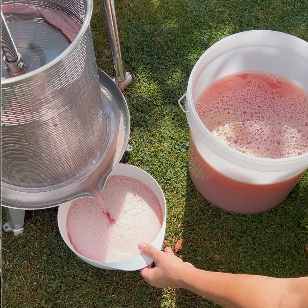 Fersk eplejuice strømmer ut av INOX 20L fruktpresse, klar til å samles opp