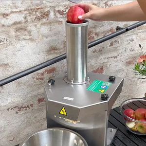 Feedo Elektrisk fruktkross i rostfritt stål. Effektiv, robust och enkel att använda för att krossa upp till 250 kg frukt och grönsaker per timme. Perfekt för mustning av äpplen, päron och rotfrukter.