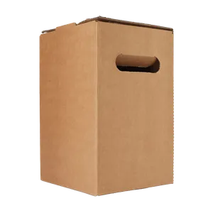 Viiden litran pakkauksen lyhyt puoli ruskeassa pahvilaatikossa ilman painatusta