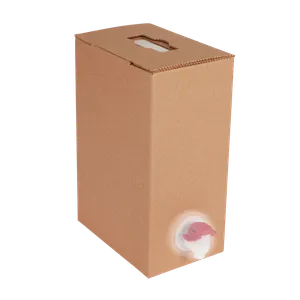 Pose i kassekarton med papirhåndtag i forsænket position