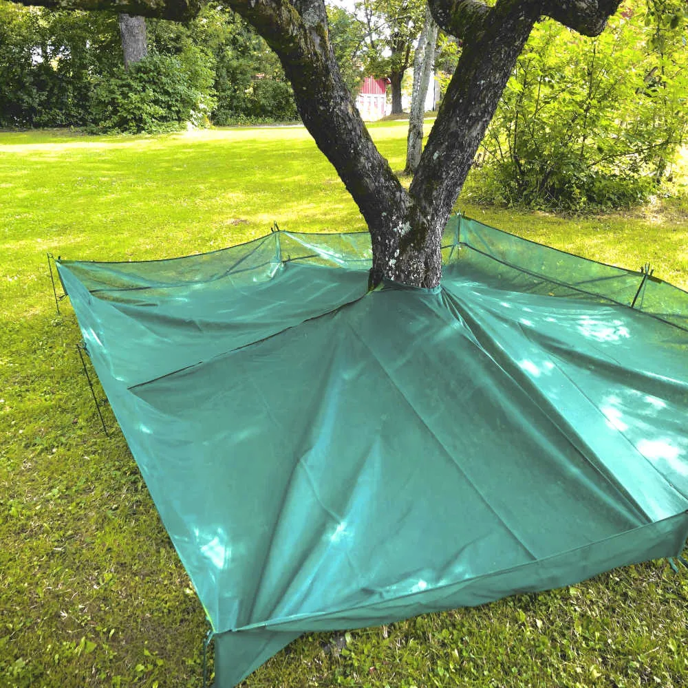 Grönt skördenät för fallfrukt uppsatt runt en trädstam på gräsmattan i trädgården