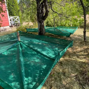 Under större träd är det lämpligt att använda två eller flera skördenät