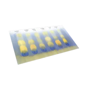 Sinisellä ja keltaisella värillä värjätty paperi malolaktisen käymisen analysointiin