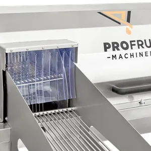 Närbild på frukttvättens tvättfunktion