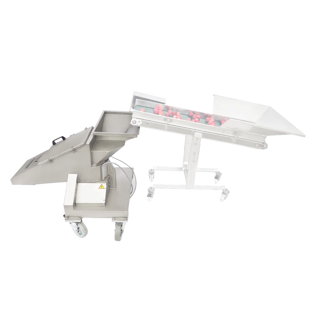 Bær- og frugtknuser i rustfrit stål, der fodres med røde æbler via et skyggefuldt transportbånd